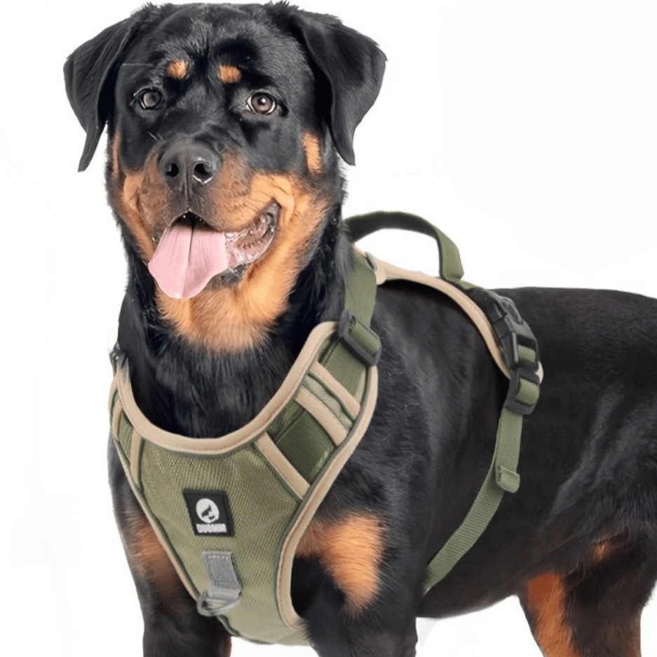 Safe Control Dog Vest with Handle for Walking - Luxivelle