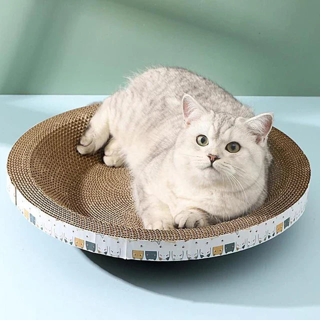 Sturdy Circular Cat Scratcher Bed - Luxivelle
