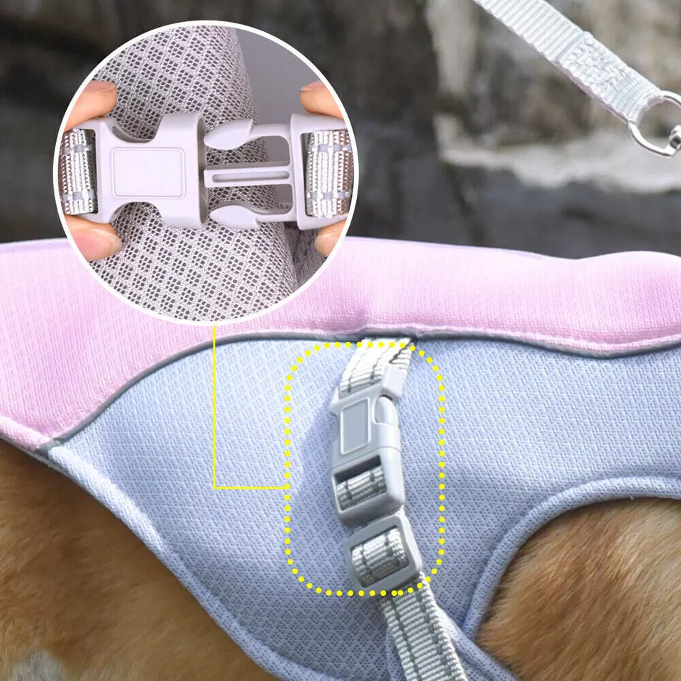 Cooling Breathable Dog Vest for Summer