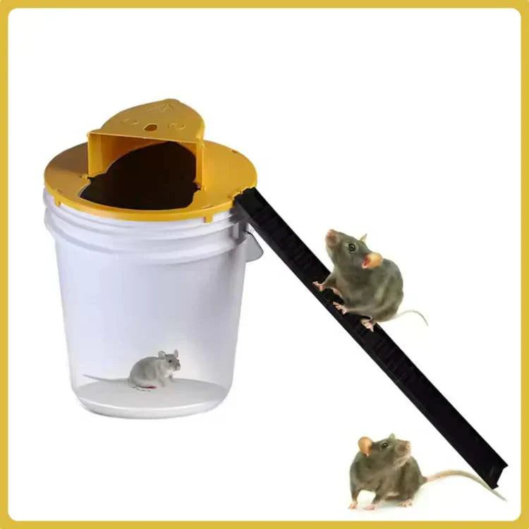 Easy Catch Automatic Mouse Trap with Safe Release - Luxivelle