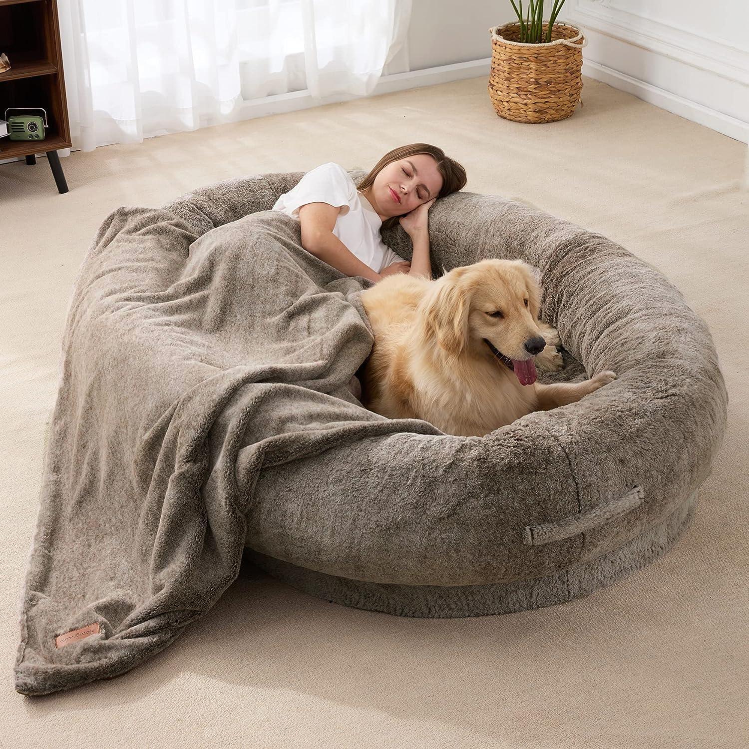 "Ultra-comfy plush lounger for pets and humans, oversized with plush pillow bolsters, dual-layer memory foam, stylish design.