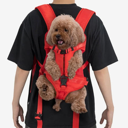 "Versatile dog carrier backpack for hiking, shown in green. Secure multi-buckle design keeps pets safe and comfortable outdoo