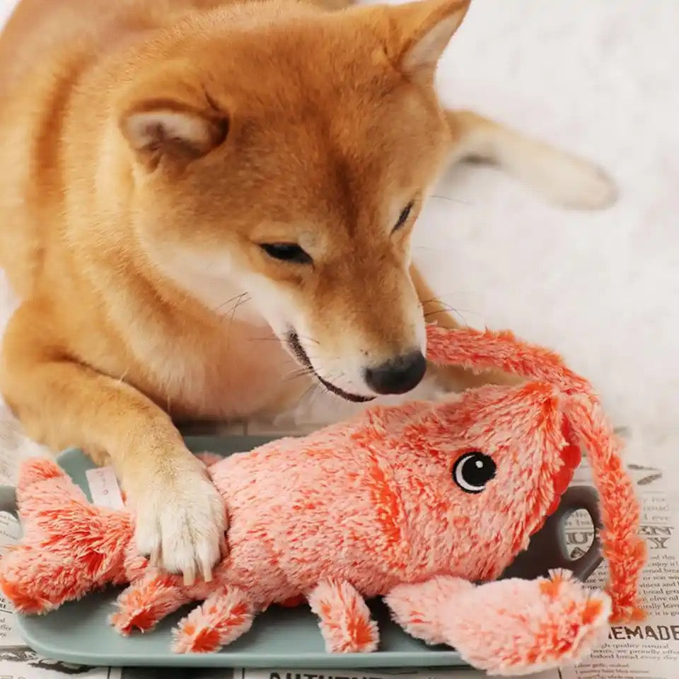 Fun Squeaky Lobster Dog Toy for Active Play - Luxivelle