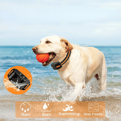 Waterproof rechargeable e-collar for dog training, black strap, remote control, fits all sizes, for outdoor use, pet supplies