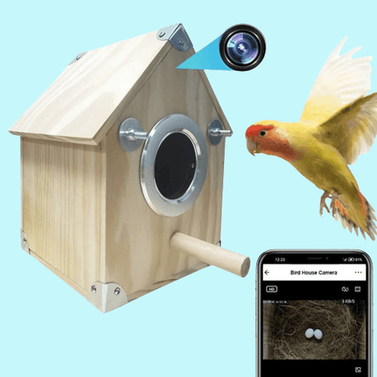 Wireless Birdhouse Camera Feeder - Luxivelle