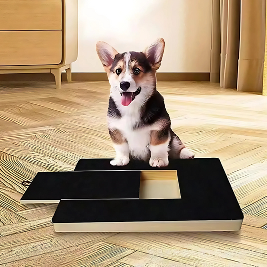 Colorful Pet Nail Care Board - Luxivelle